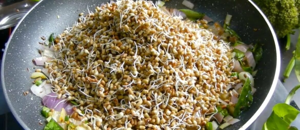 Healthy Weight Loss Sprout Recipes | High protein salad | the serious fitness recipes | salad recipe