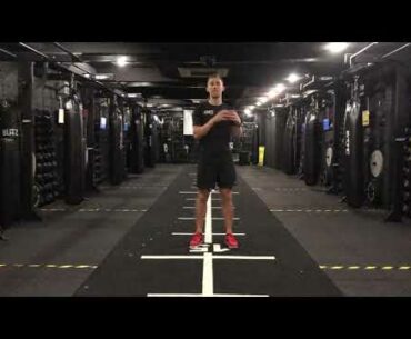 Fruits and Veggies for Muscle Mass