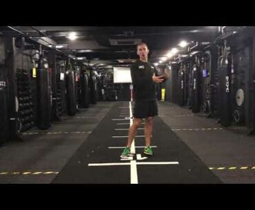 Fruits and Vegetables and Fat Loss