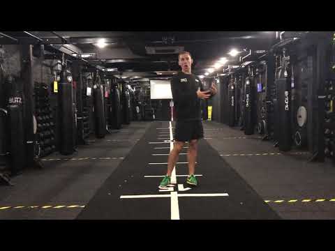 Fruits and Vegetables and Fat Loss