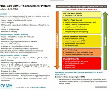 Vitamin D and zinc cure Trump and Indians. Jake Tapper(CNN) fought the fine people hoax! Mecha-Bezos