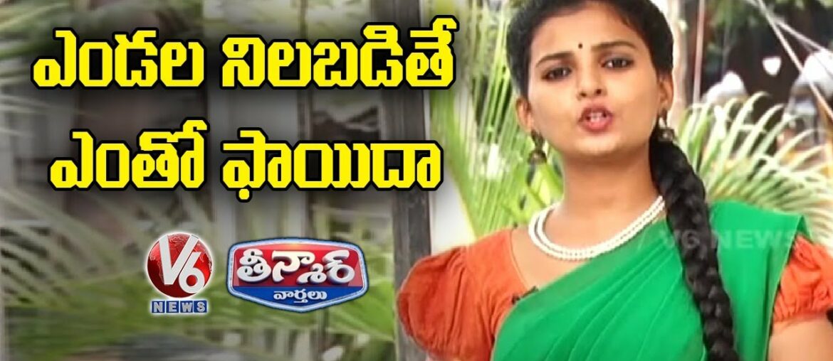 Teenmaar Padma Conversation With Radha Over Vitamin D Helps To Reduce COVID-19 | V6 News