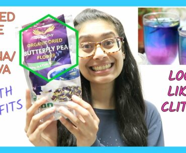 HIGH IMMUNE BOOSTING PROPERTIES OF BLUE PEA FLOWER FOR FLU SEASON! (miracle flower) | Karina Melissa