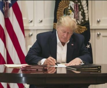 'Pandemic' doctor weighs in on President Trump's antibody treatment, discusses why it's so expensive