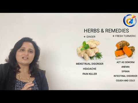 Episode 3 - Covid 19 & Immunity Recipe