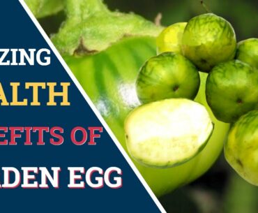 Amazing Health Benefits Of Garden Egg
