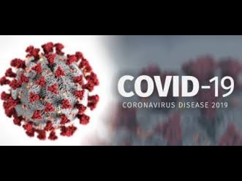Coronavirus Explained by 2nd Grade kid- wow !!