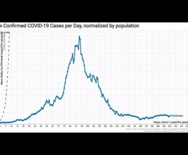 Vitamin D science, more science, Tesla needs no marketing department, and fun-with-Trump-on-dexa