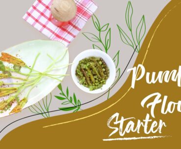 Pumpkin Flower Starters