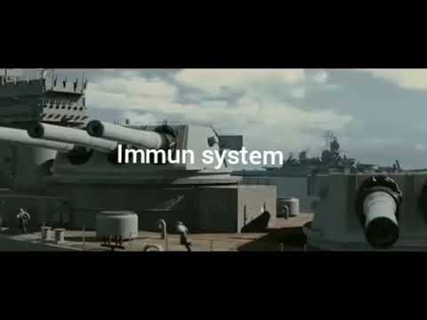 corona vs immune system of human