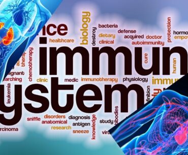 Is There Such a Thing as an Immune System Supplement