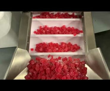 Gummi World - White Label Supplement Production and Fulfillment