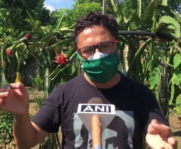 Couple grows 'immunity booster' Dragon fruits in Silliguri