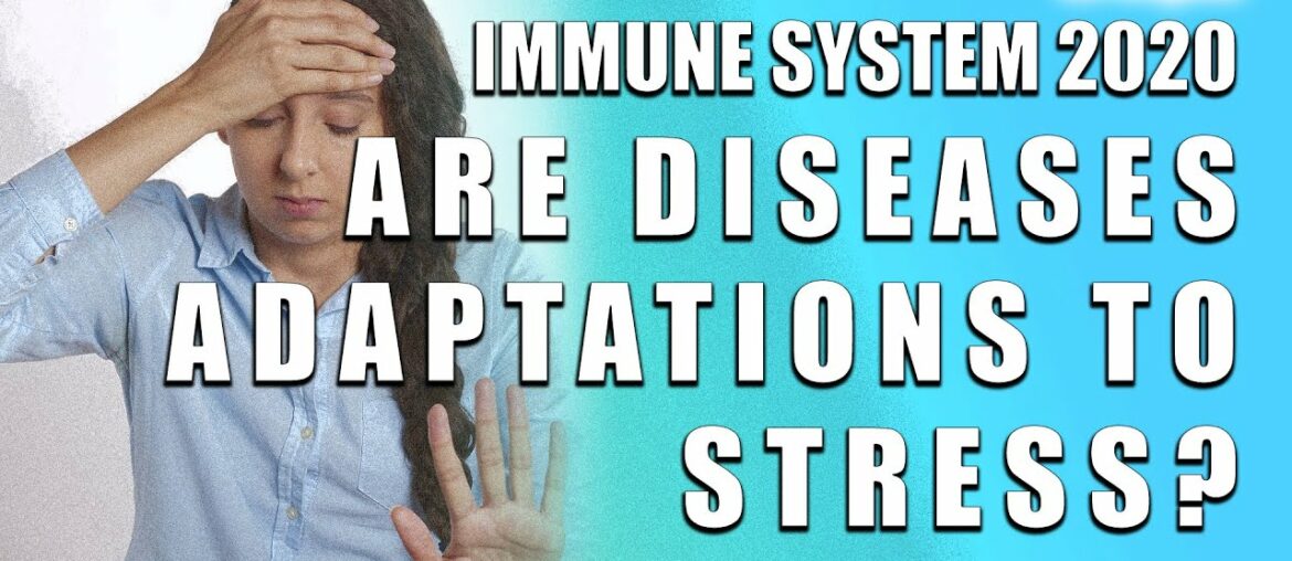 Immune System 2020. Are Diseases Adaptations to Stress_