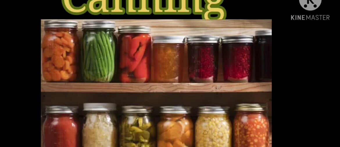 GRADE 9 ZOOLOGY (NUTRITION AND HEALTH) 09 10 2020, 11 20AM