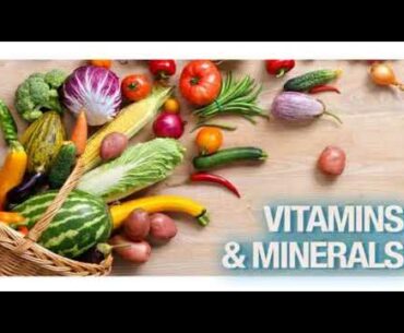 Vitamins and Minerals In Nutrition