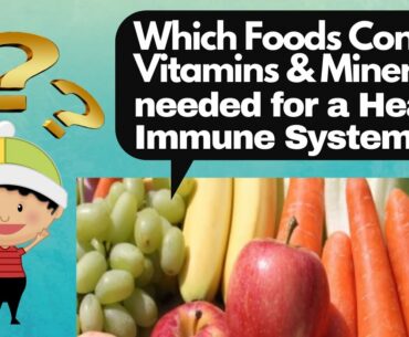 Food Sources of Vitamins and Minerals needed for Immune System