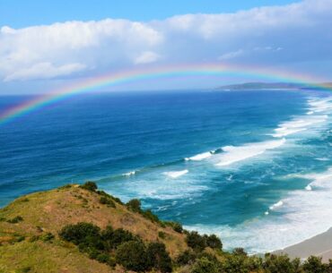 Healing Meditation to Improve Immune System to Avoid Any Virus especially COVID-19