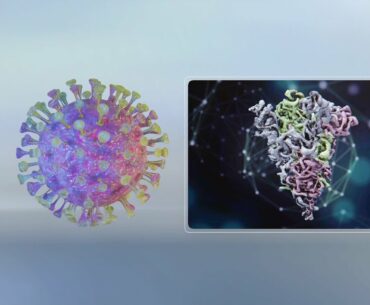 Sputnik V explainer: How Russia's coronavirus vaccine works