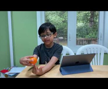 Oranges - Vitamin C richness!