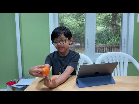 Oranges - Vitamin C richness!