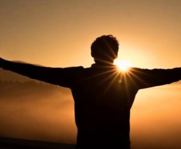 Researchers call for nutritional guidelines and regulations on use of vitamin D