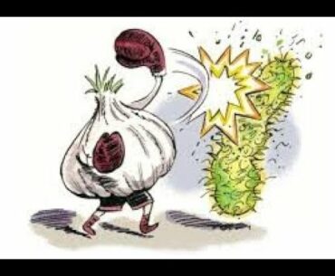 Important tips to maintain immunity power #World of science# Covid 19 # stay healthy and stay fit.