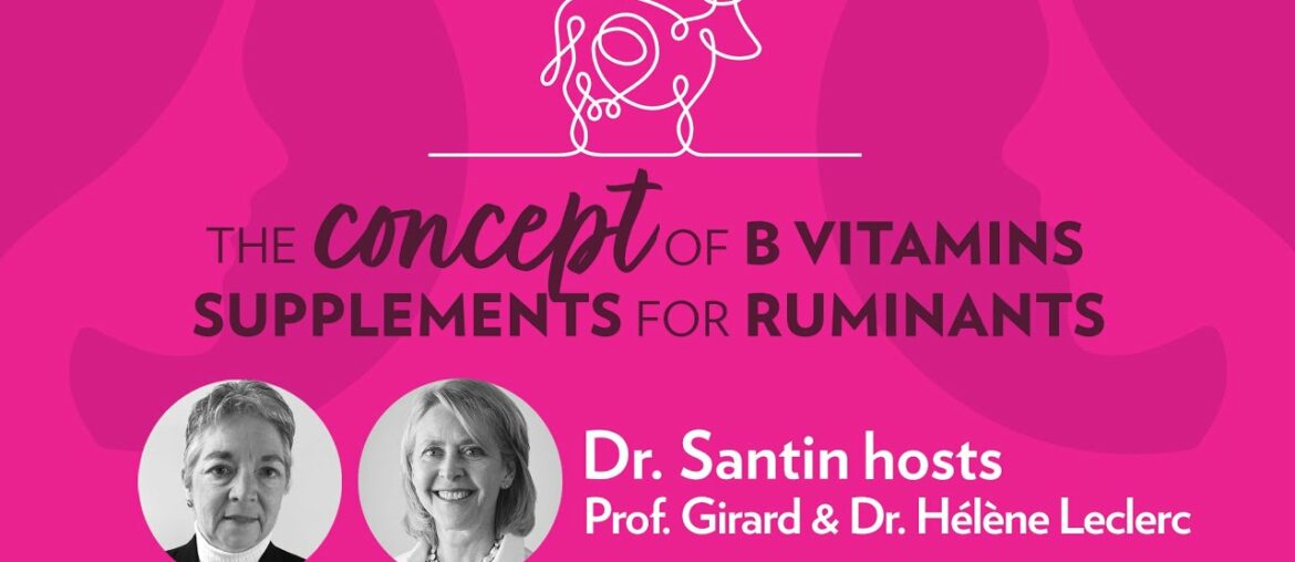 The concept of B Vitamins supplements for ruminant