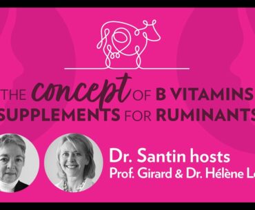 The concept of B Vitamins supplements for ruminant