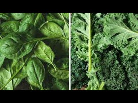 Health Benefits of Kale l Health tips