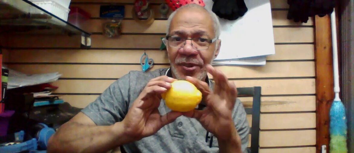 How to boost your immune system with Vitamin C and other herbs