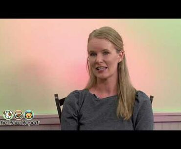 The Paw Report, Episode 1005 - Are Bats to Blame for the Coronavirus?