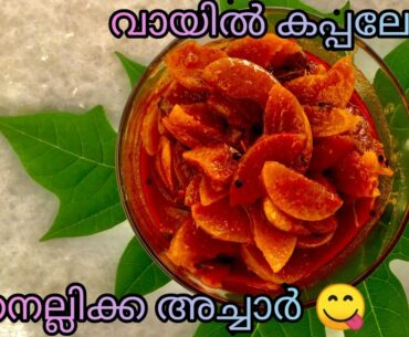 Nellikka achar | gooseberry pickle | english subtitle