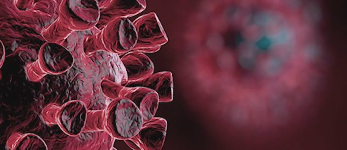 How long will immunity to COVID-19 last once a person is infected? Research offers promising news