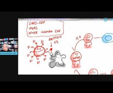 Seasonal Coronavirus Specific Antibodies and The Severity of COVID-19