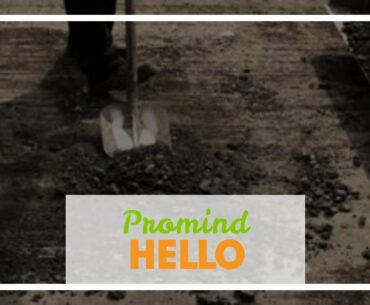 Promind Complex Mental Health And Wellness Supplement - Promind Complex Scam Promind Complex Ev...