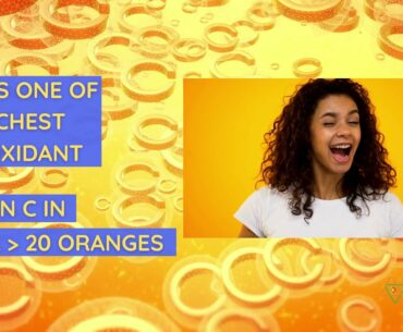 ALTVEDA ANTI-AGEING AMLA (INDIAN GOOSEBERRY) VITAMIN C SUPPLEMENT| Amla for Wellness