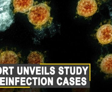 Study: COVID-19 reinfection casts doubt on virus immunity | World News