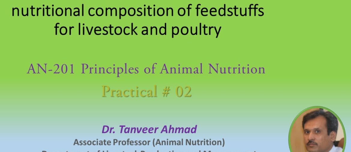 Classification of Feedstuffs-Lecture Series in Animal Sciences, Animal Nutrition