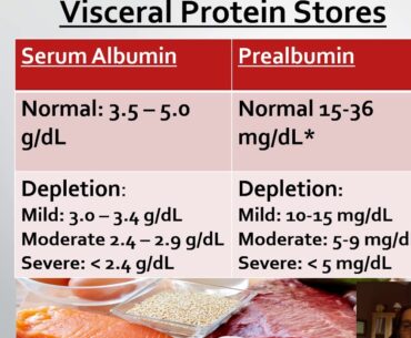 Chapter 11 Nutrition Assessment Recording