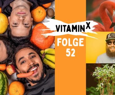 MC FITTI: Flamingos flambieren & weitere Heimwerkertipps | Marvin Endres | Vitamin X Podcast