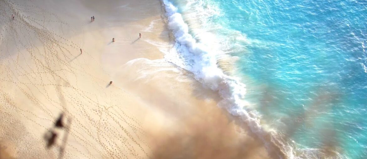 Love Wellness UpLoad-20% off