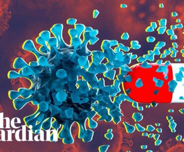 Coronavirus: what has changed about what we know?