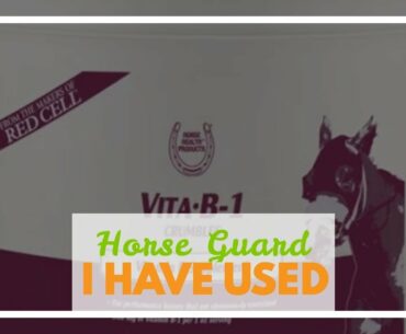 Horse Guard Trifecta Equine Vitamin Mineral Joint Hoof & Probiotic Supplement