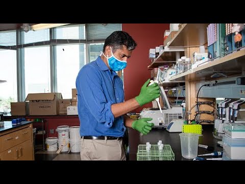 Antibodies Shown to Provide Lasting Immunity Against COVID-19