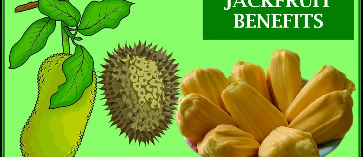 Jackfruit Benefits - Top 14 Health Benefits of Jackfruit