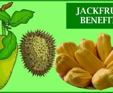 Jackfruit Benefits - Top 14 Health Benefits of Jackfruit