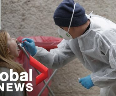 Coronavirus: Controversy surrounds pursuit of herd immunity strategy