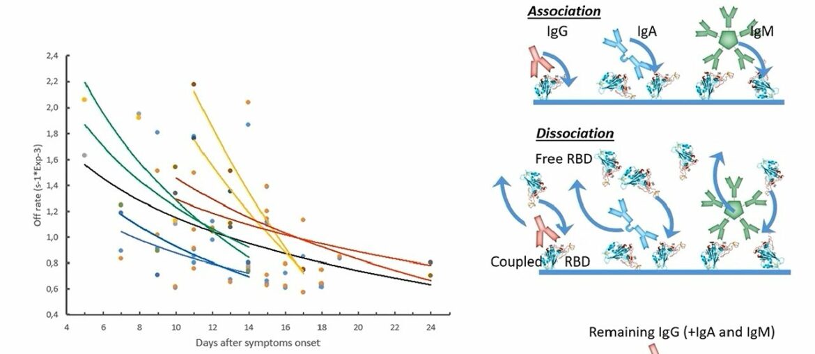 Multiparameter Immunity Monitoring of COVID-19 Patients Using a SARS-CoV-2 High Throughput SPR Assay