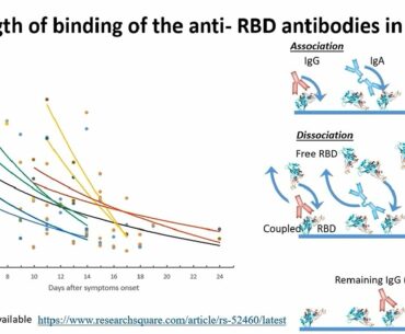 Multiparameter Immunity Monitoring of COVID-19 Patients Using a SARS-CoV-2 High Throughput SPR Assay